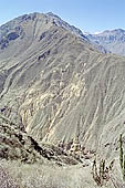 Colca Canyon